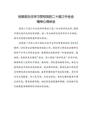 检察部主任学习贯彻党的二十届三中全会精神心得体会.docx