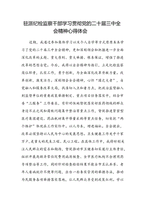 驻派纪检监察干部学习贯彻党的二十届三中全会精神心得体会范文.docx