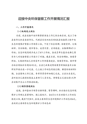 迎接中央环保督察工作开展情况汇报.docx