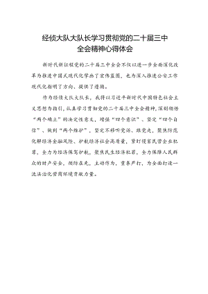 经侦大队大队长学习贯彻党的二十届三中全会精神心得体会.docx