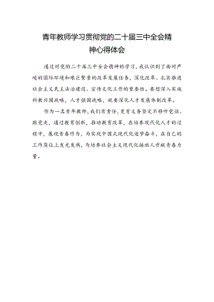 青年教师学习贯彻党的二十届三中全会精神心得体会.docx