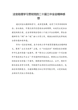 法官助理学习贯彻党的二十届三中全会精神感想范本.docx