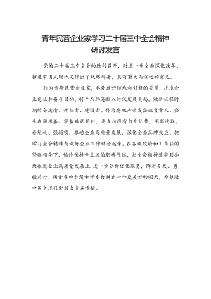 青年民营企业家学习二十届三中全会精神研讨发言.docx