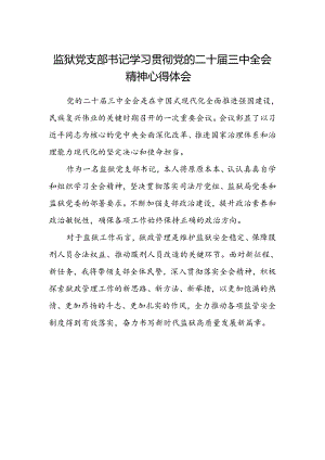 监狱党支部书记学习贯彻党的二十届三中全会精神心得体会.docx