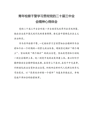 青年检察干警学习贯彻党的二十届三中全会精神心得体会.docx