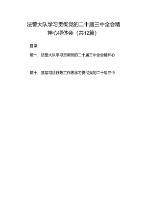 法警大队学习贯彻党的二十届三中全会精神心得体会12篇（详细版）.docx