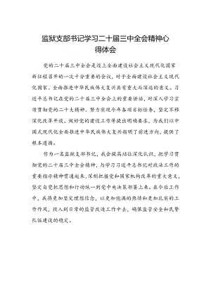 监狱支部书记学习二十届三中全会精神心得体会.docx