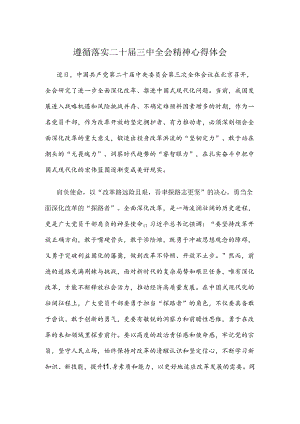 遵循落实二十届三中全会精神心得体会.docx