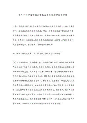 青年干部学习贯彻二十届三中全会精神发言材料.docx