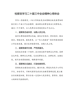 检察官学习二十届三中全会精神心得体会.docx