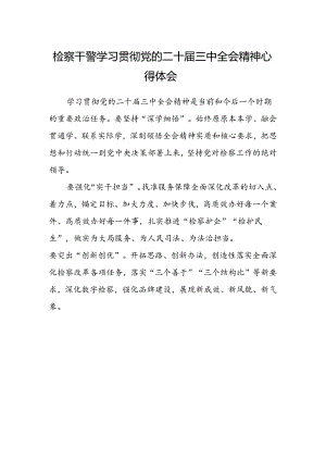 检察干警学习贯彻党的二十届三中全会精神心得体会.docx