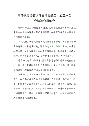 青年执行法官学习贯彻党的二十届三中全会精神心得体会.docx