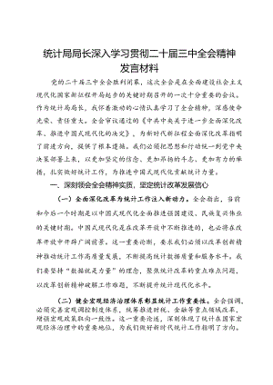 统计局局长深入学习贯彻二十届三中全会精神发言材料.docx