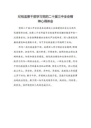 纪检监察干部学习党的二十届三中全会精神心得体会 .docx