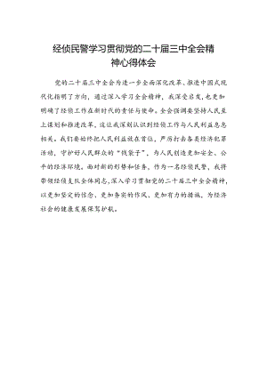 经侦民警学习贯彻党的二十届三中全会精神心得体会 .docx