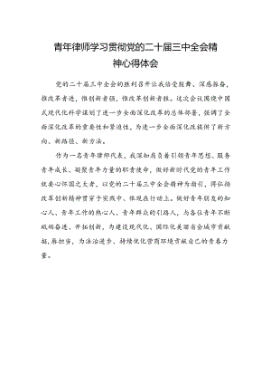 青年律师学习贯彻党的二十届三中全会精神心得体会.docx