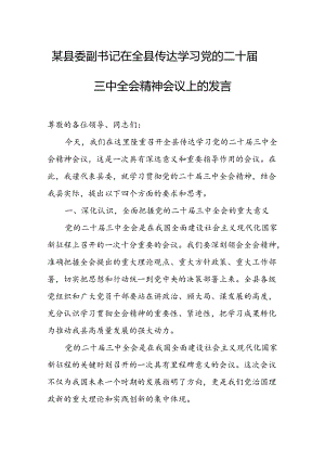 某县委副书记在全县传达学习党的二十届三中全会精神会议上的发言 .docx