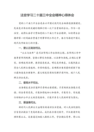法官学习二十届三中全会精神心得体会.docx