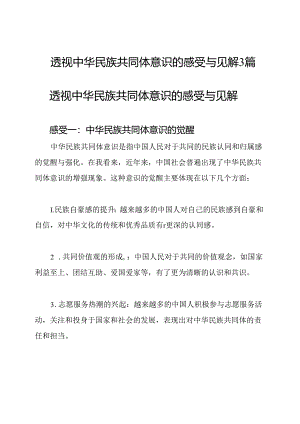 透视中华民族共同体意识的感受与见解3篇.docx