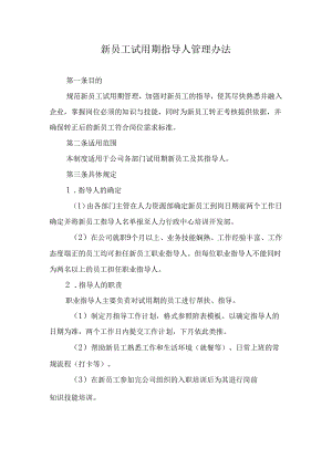 新员工试用期指导人管理办法.docx