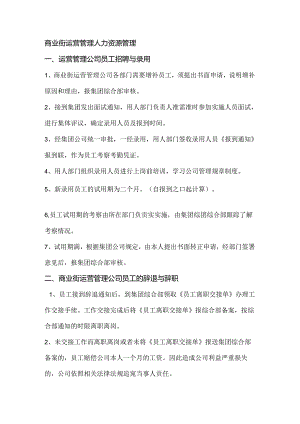 商业街运营管理人力资源管理.docx