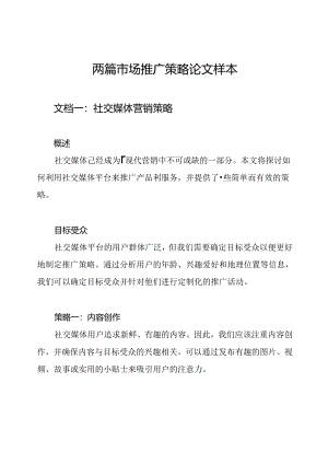 两篇市场推广策略论文样本.docx
