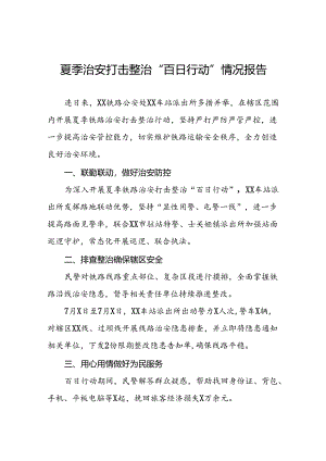 2024年公安夏季治安打击整治“百日行动”工作总结11篇.docx