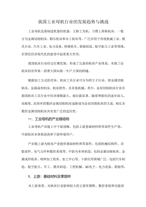我国工业母机行业的发展趋势与挑战.docx