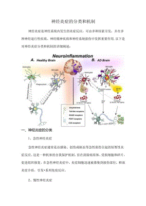 神经炎症的分类和机制.docx