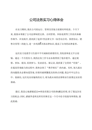 公司法务实习心得体会.docx