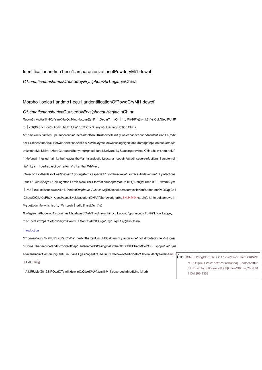 Identification and molecular characterization of Powdery Mildew of Clematis manshurica Caused by Erysiphe aquilegiae in China.docx_第1页