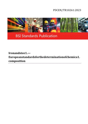 PD CEN TR 10261-2023.docx