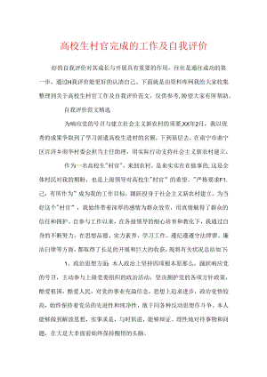 大学生村官完成的工作及自我评价.docx