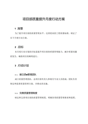 项目部质量提升月度行动方案.docx