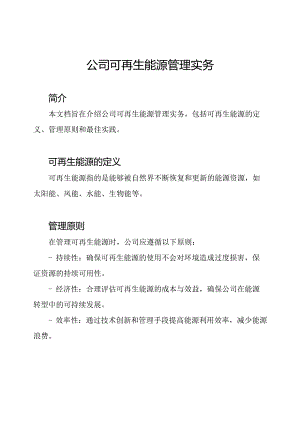 公司可再生能源管理实务.docx