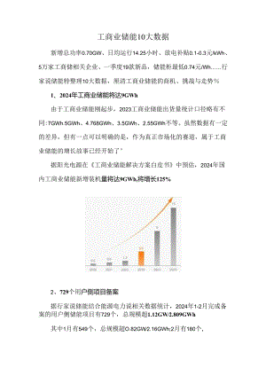 工商业储能10大数据.docx