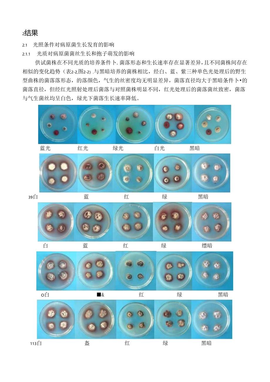 光对花生疮痂病菌生长发育、毒素产生及致病性的影响.docx_第3页
