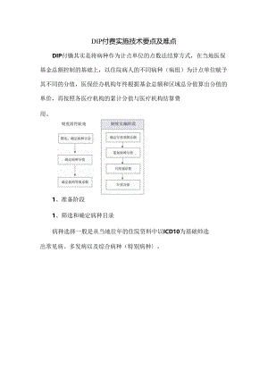 DIP付费实施技术要点及难点.docx