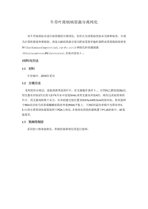 牛蒡叶斑病病原菌分离纯化.docx