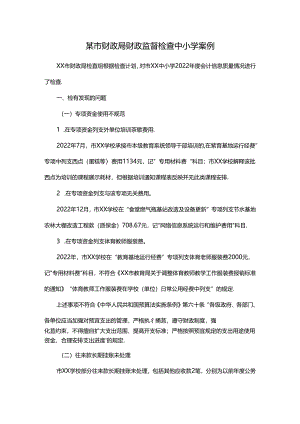 某市财政局财政监督检查中小学案例.docx