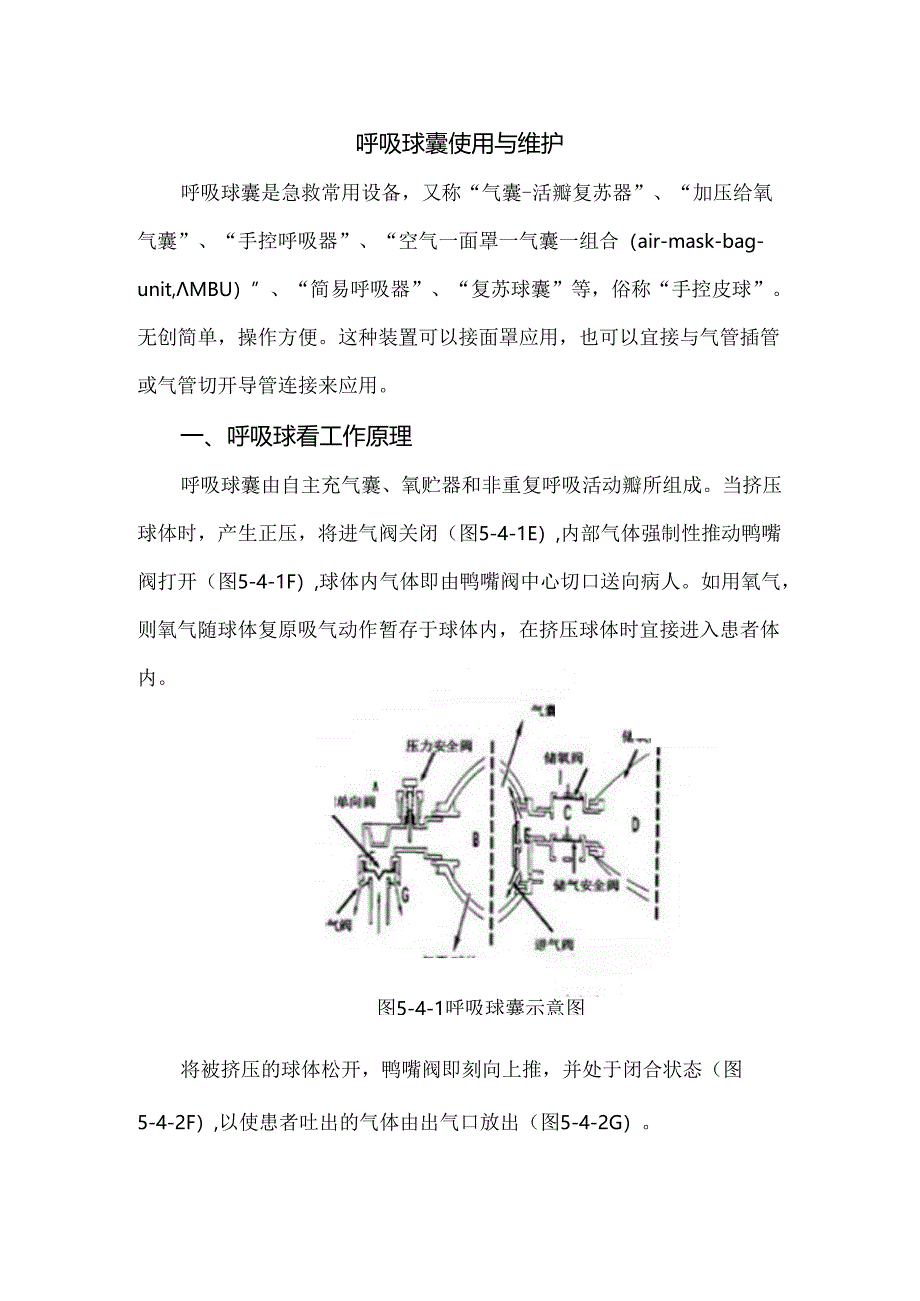 呼吸球囊使用与维护.docx_第1页