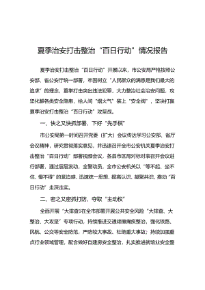 派出所2024年夏季治安打击整治行动情况报告八篇.docx