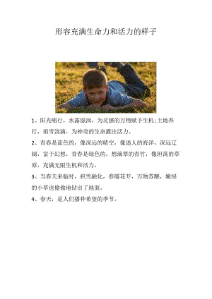 形容充满生命力和活力的样子.docx
