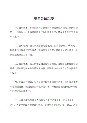 安全会议纪要.docx