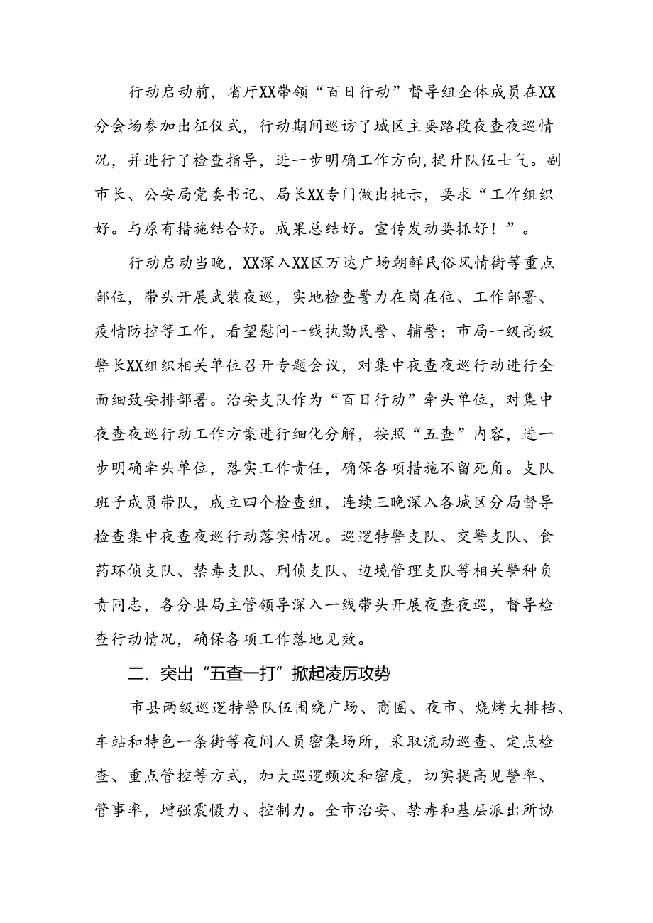 九篇2024年夏季治安打击整治“百日行动”情况报告.docx_第3页