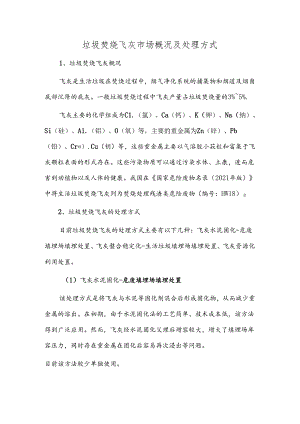 垃圾焚烧飞灰市场概况及处理方式.docx