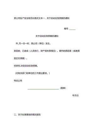 某公司生产安全规范化格式文本.docx