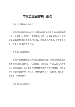 市属公立医院审计重点.docx