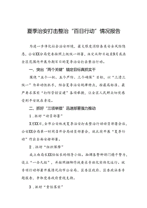 公安2024年夏季治安打击整治行动工作总结报告三篇.docx