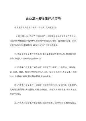 企业法人安全生产承诺书.docx